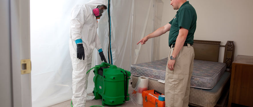 Southport, NC mold removal process